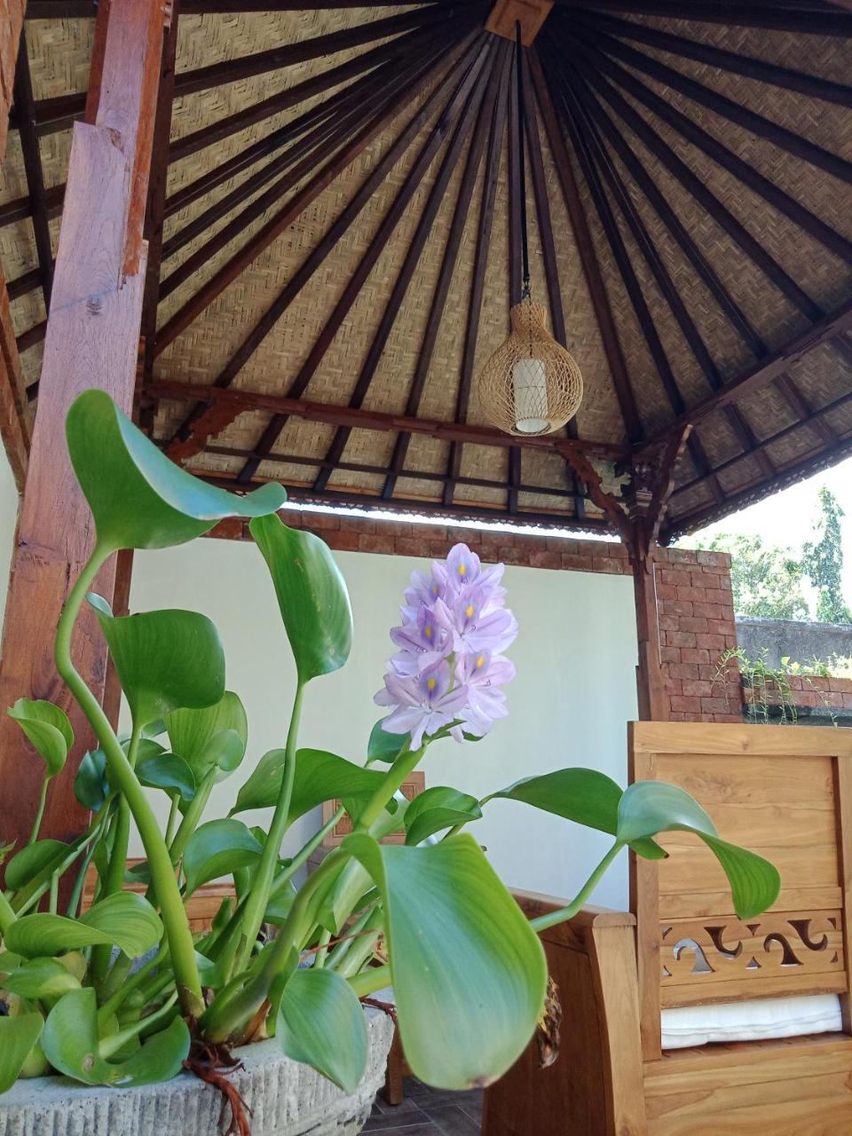 D'Puja Home Stay And Spa Nusa Dua  Esterno foto